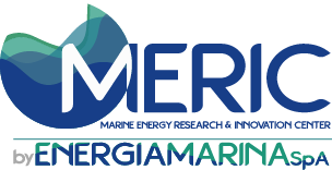Meric Logo